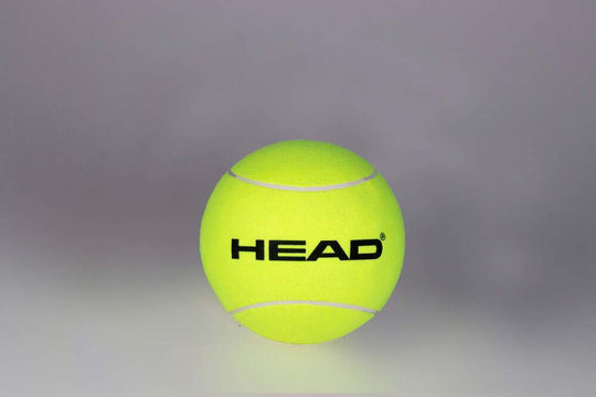 Medium Inflatable Tennisball